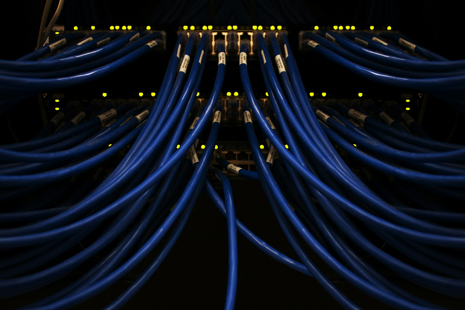 Blå nätverkskablar kopplade i en serverpanel med gula lampor