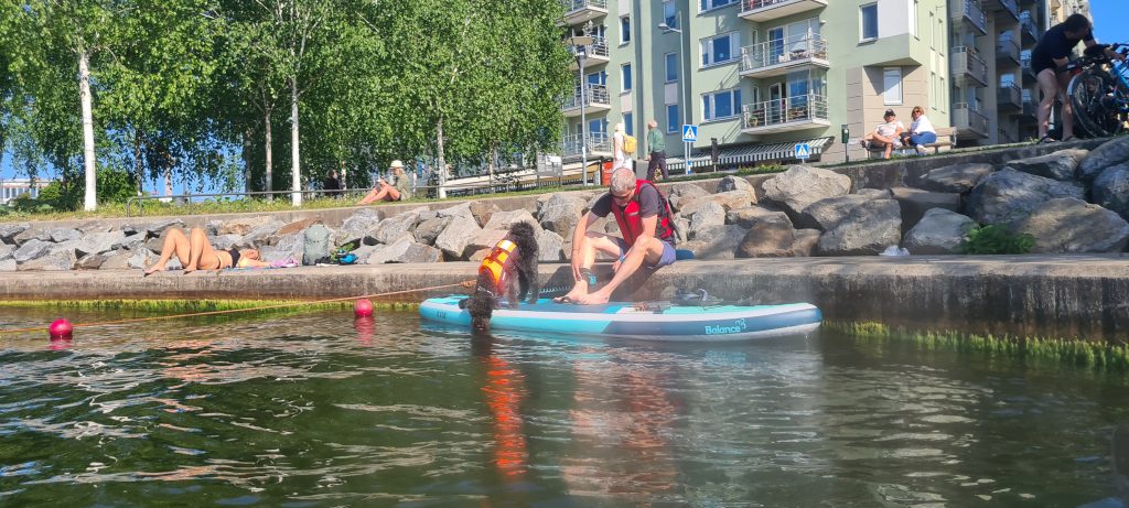 Sommarliv vid Hornsbergs strand med paddelbräda, badande och solande vid vattnet.