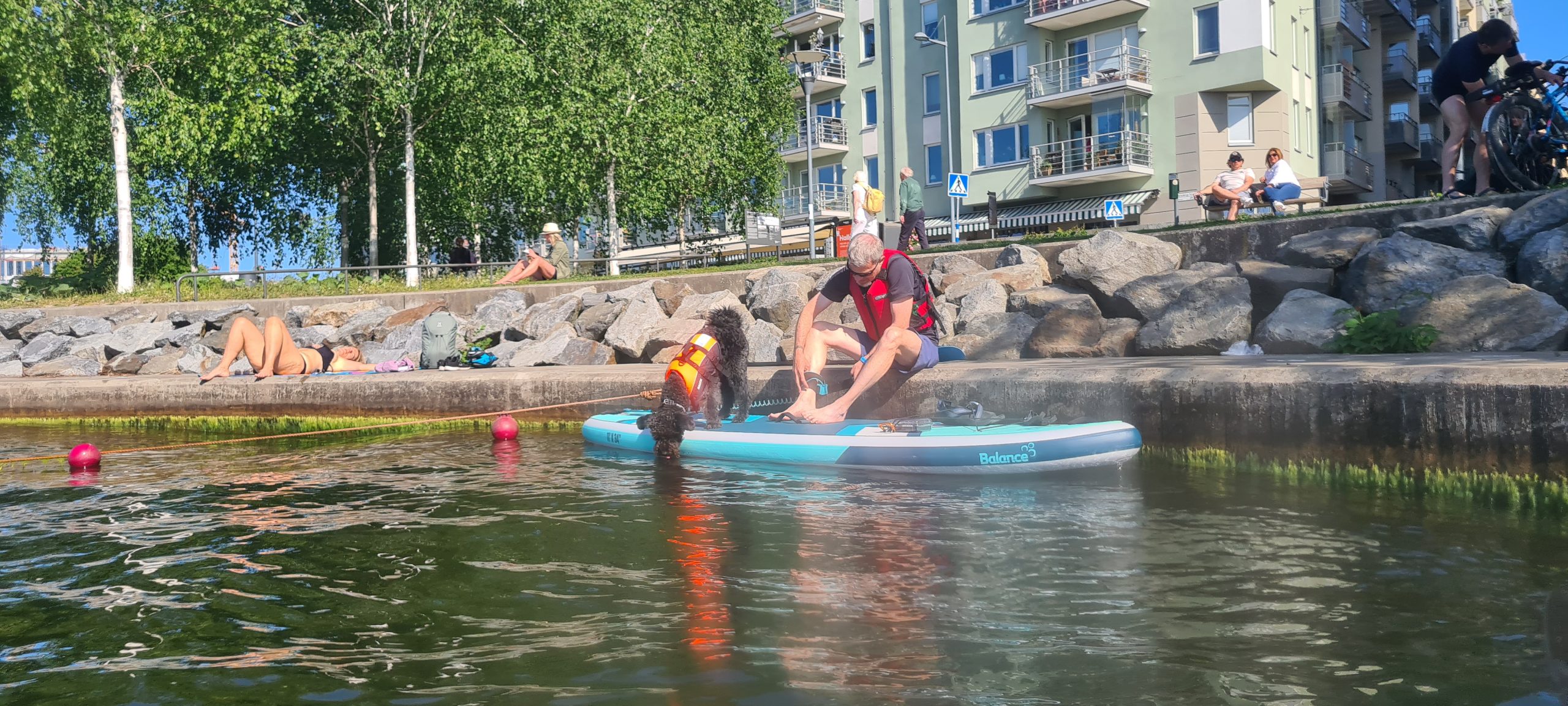 Sommarliv vid Hornsbergs strand med paddelbräda, badande och solande vid vattnet.