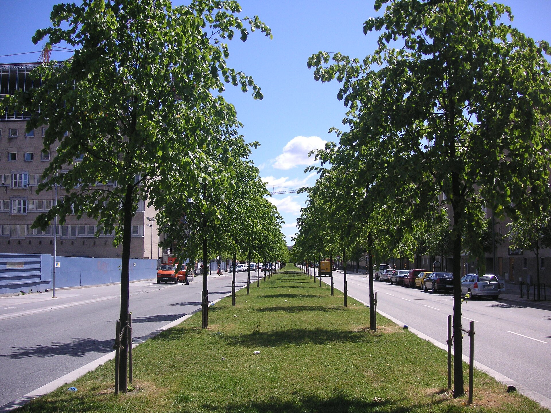 Lindhagensgatan på Kungsholmen med en rad nyplanterade träd på en gräsremsa mitt i gatan och bostadshus längs båda körbanorna.