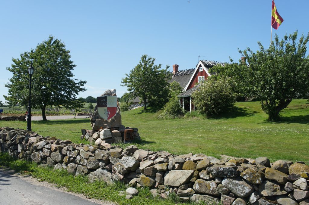 Arilds vingård med vinrader, stenmur och rödmålad byggnad på Kullahalvön i Skåne