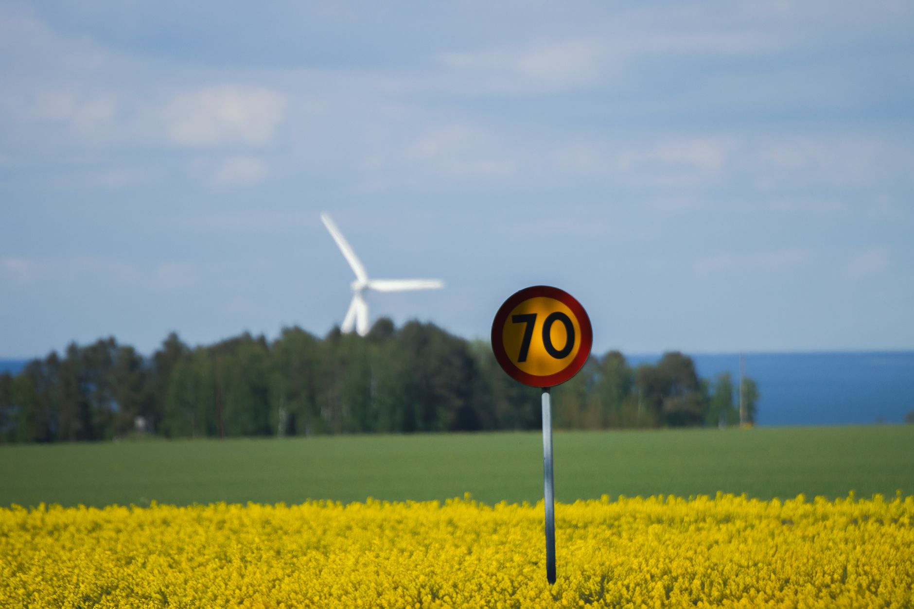 A Swedish 70 km/h speed limit sign beside a rape field, with a wind turbine on the horizon