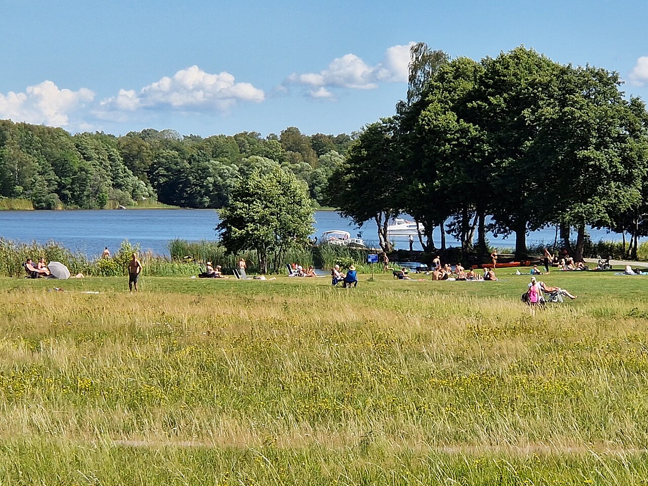 Badgäster på gräsytan vid Södra Björnön i Västerås en solig sommardag, med Mälaren bakom.