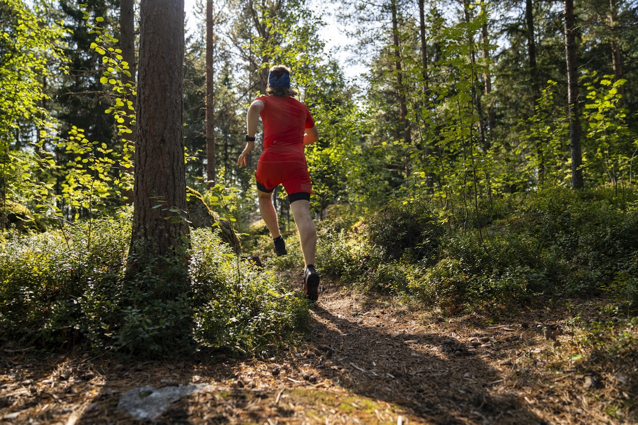Löpare på en solbelyst skogsstig