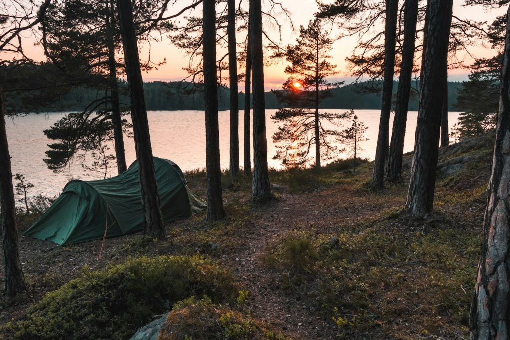 Grönt tält uppslaget bland tallar vid en lugn sjö i solnedgång
