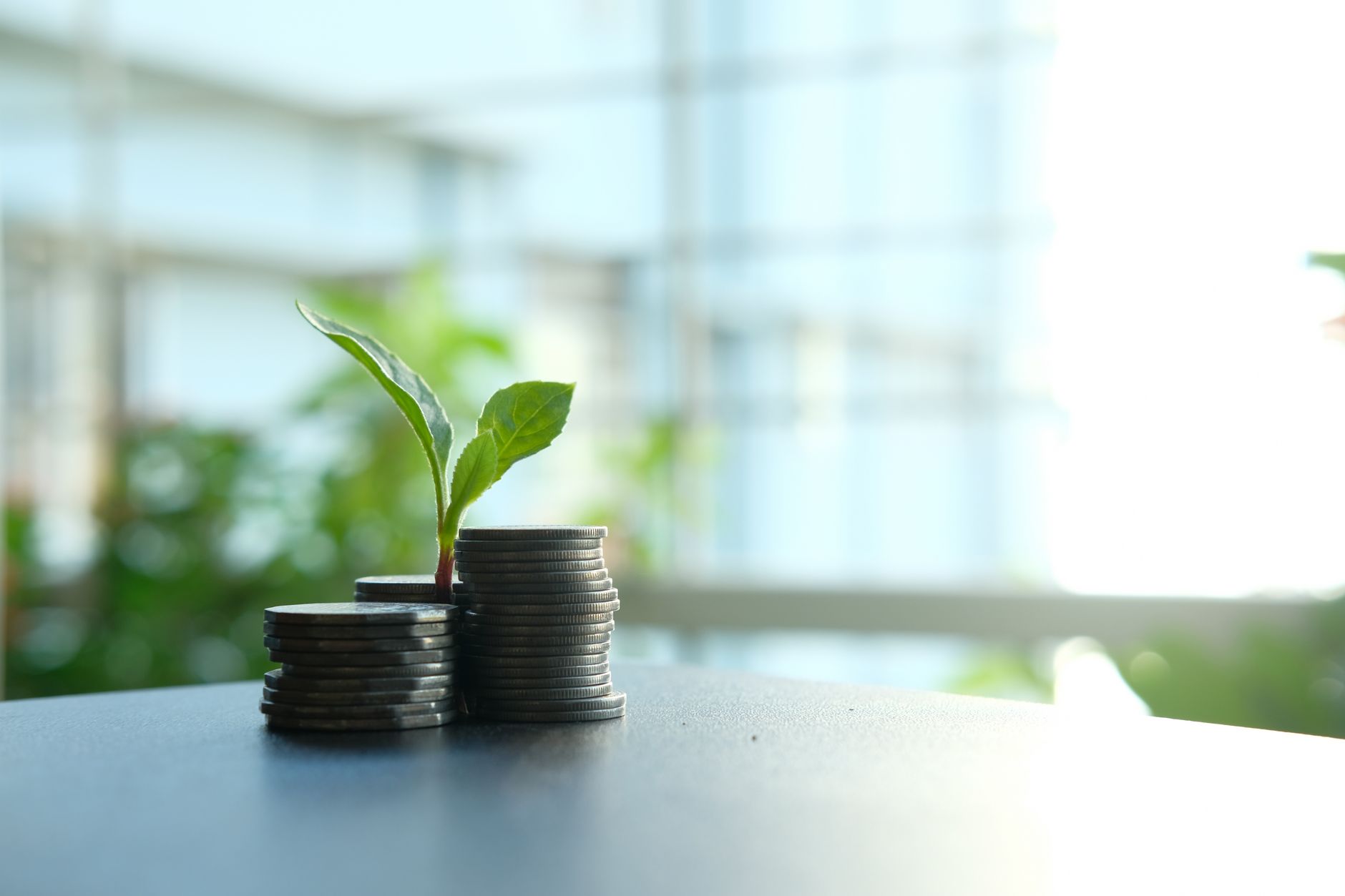 Liten planta som växer ur staplade mynt