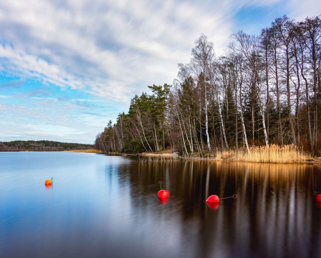 Stilla skogssjö med tallar i Sverige