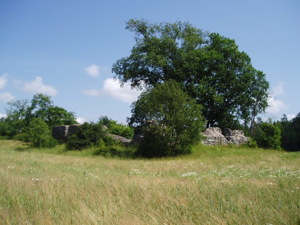 Murrester efter Hammerstahus borgruin i en sommaräng med ett stort lövträd, Häringe-Hammersta naturreservat