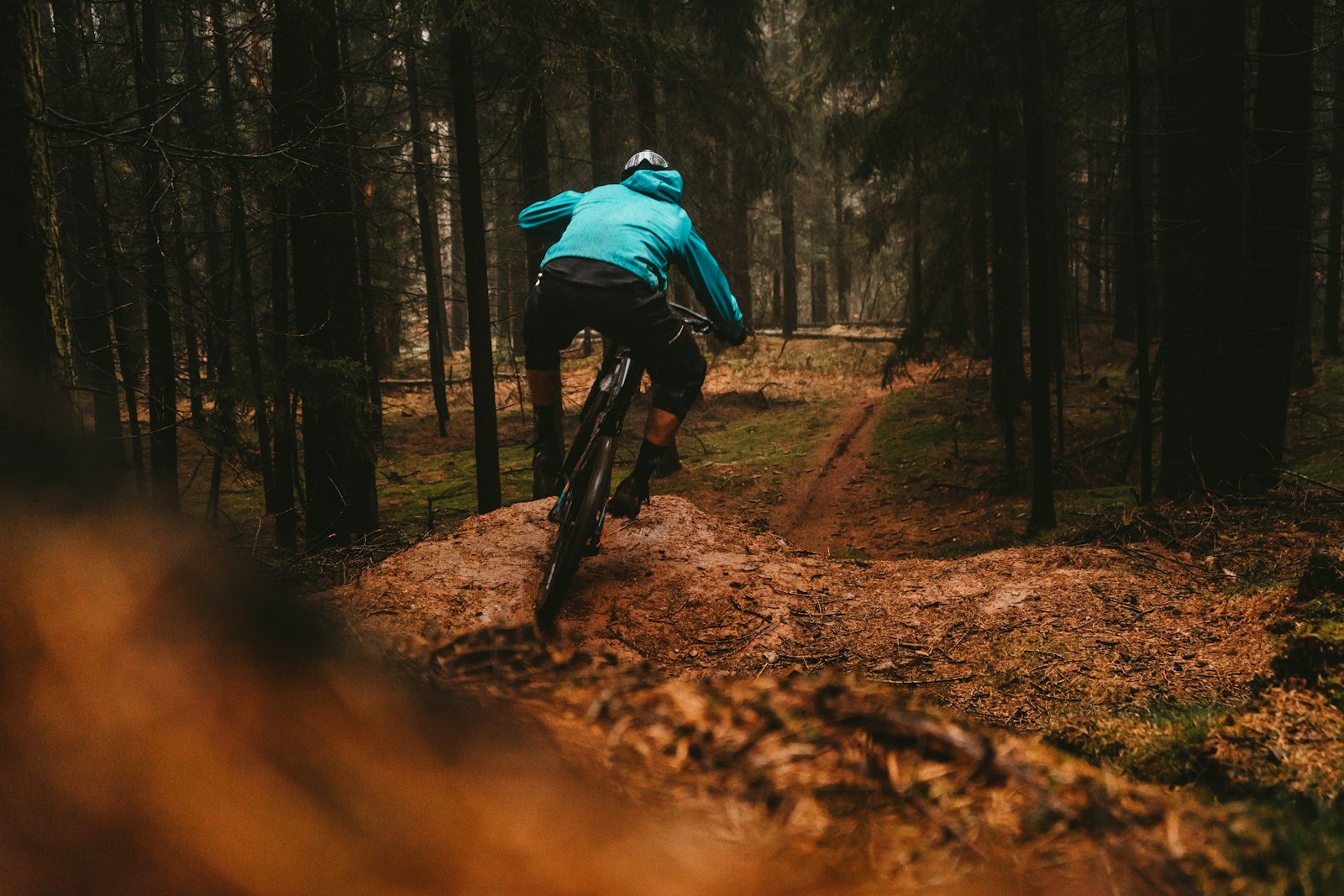 Mountainbikecyklist på en stig i en barrskog