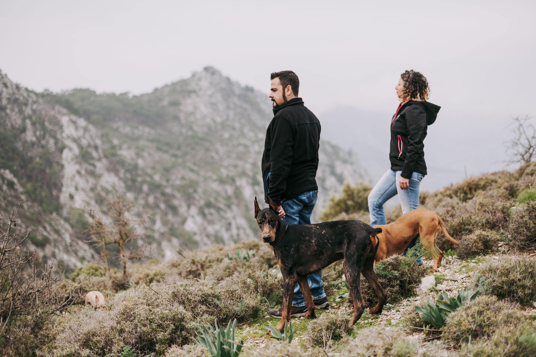 Par på vandring med sin hund i bergen