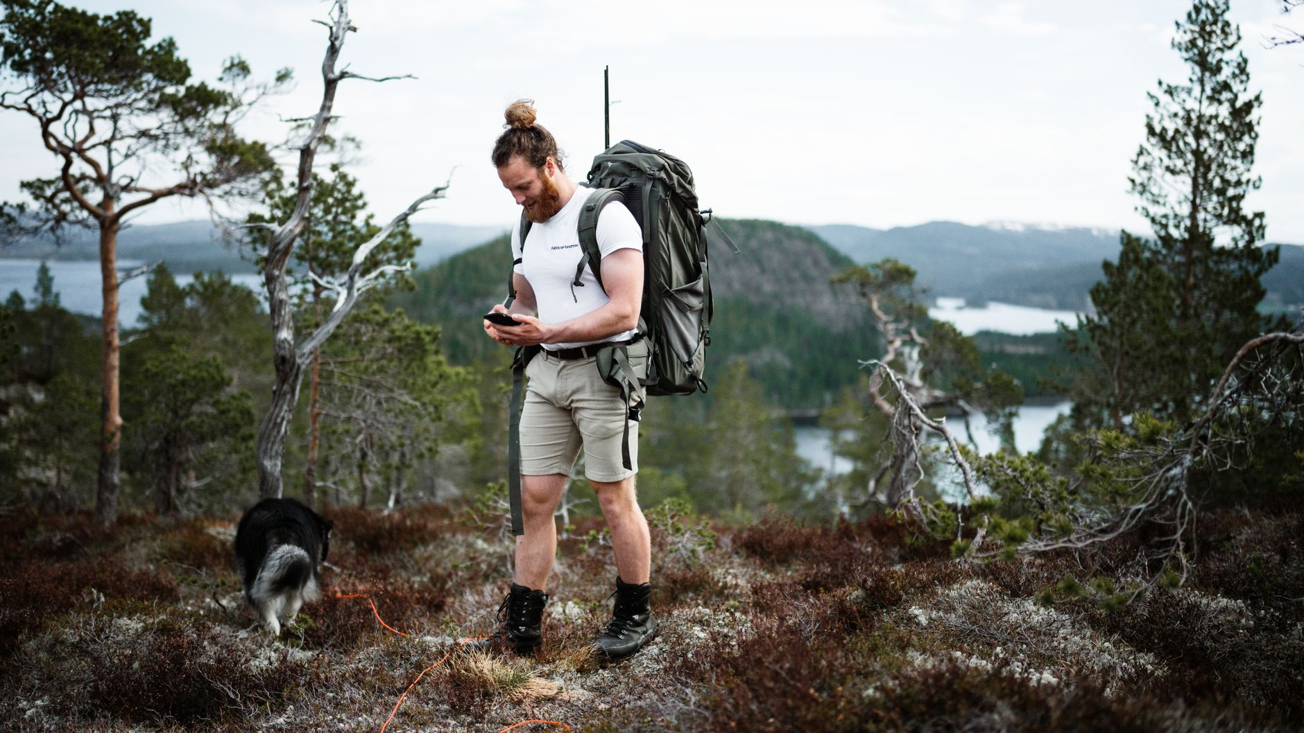 Vandrare med stor ryggsäck och hund i lång lina på en hedmark med sjöar och låga fjäll i bakgrunden