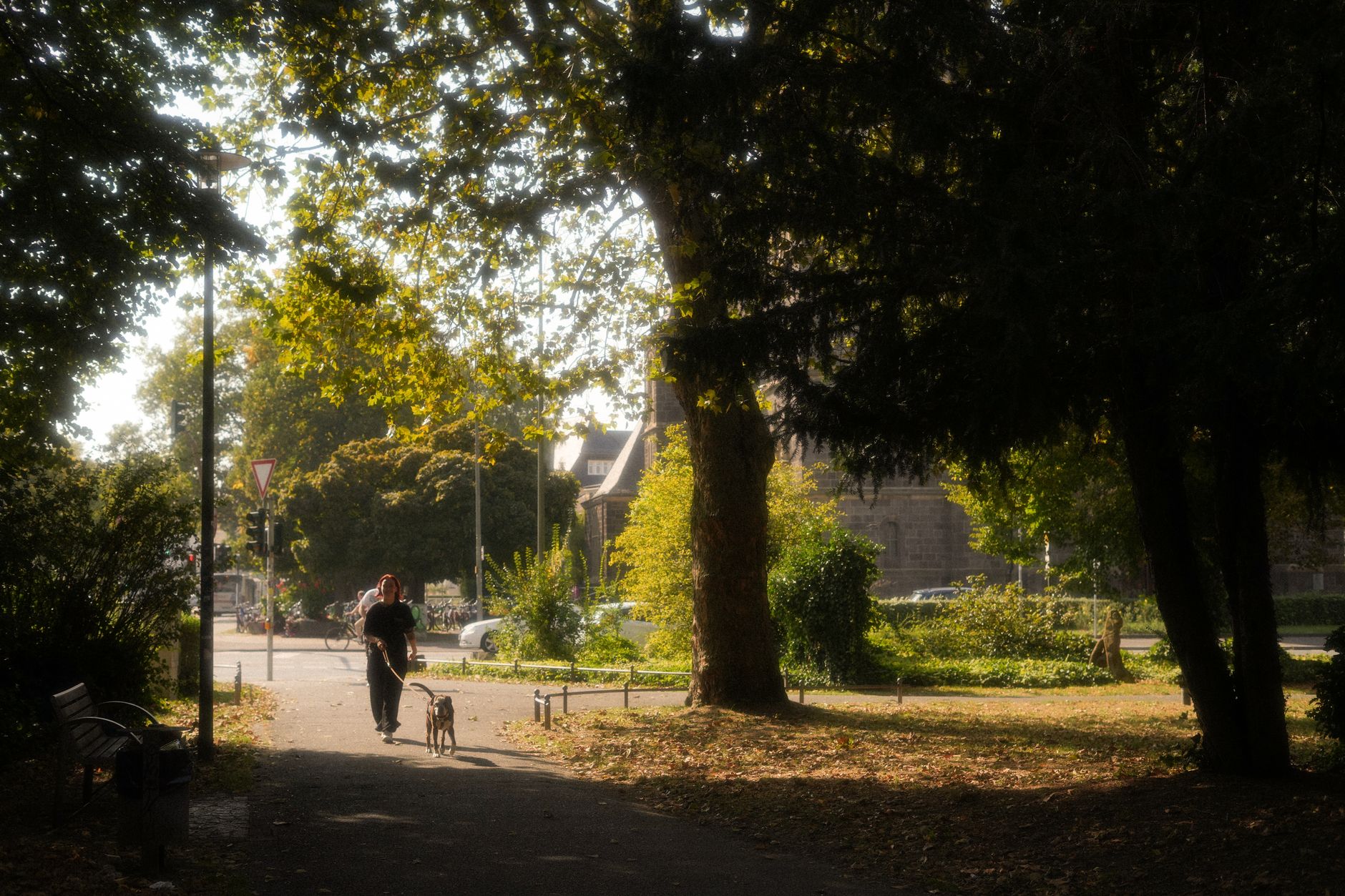 Person promenerar med kopplad hund på en grusgång i en lövrik park i Frankfurt i eftermiddagssol