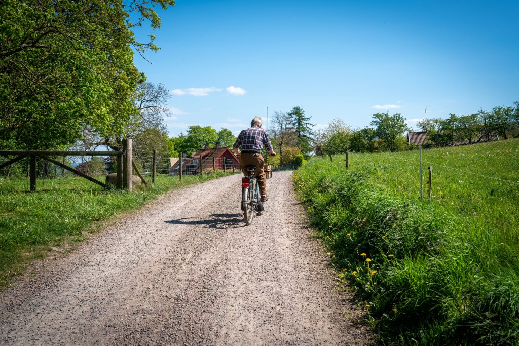 Cyklist på grusad led genom sommargrönt landskap