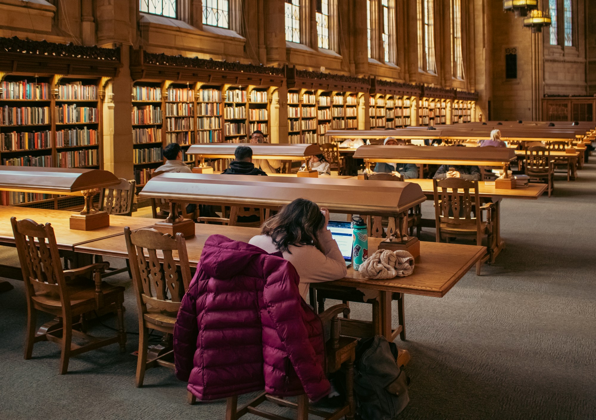 Studenter läser var för sig vid långborden i ett universitetsbiblioteks läsesal