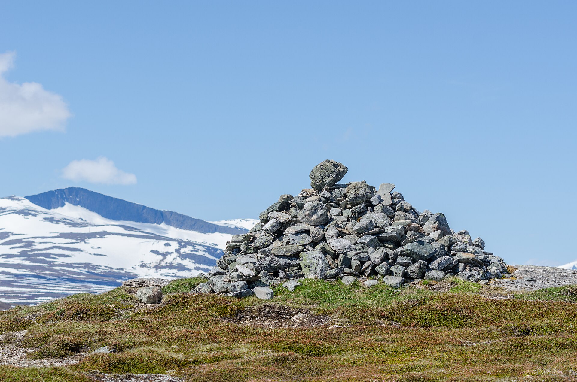 Röse längs leden mot Helags