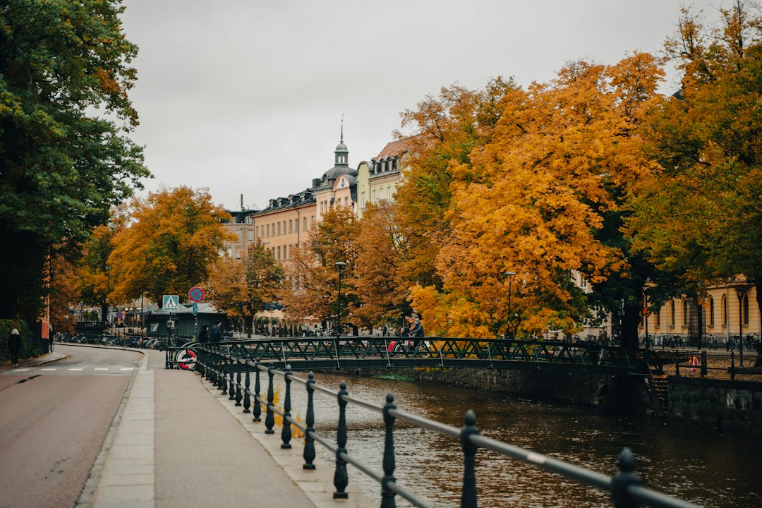 Fyrisån genom centrala Uppsala med gula lövträd längs kajen och en gångbro över vattnet