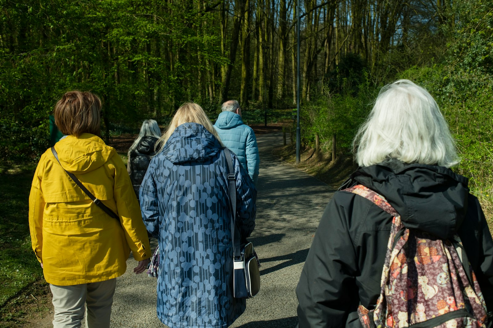 Arbetsgrupp på promenad längs en väg genom en grön lövskog