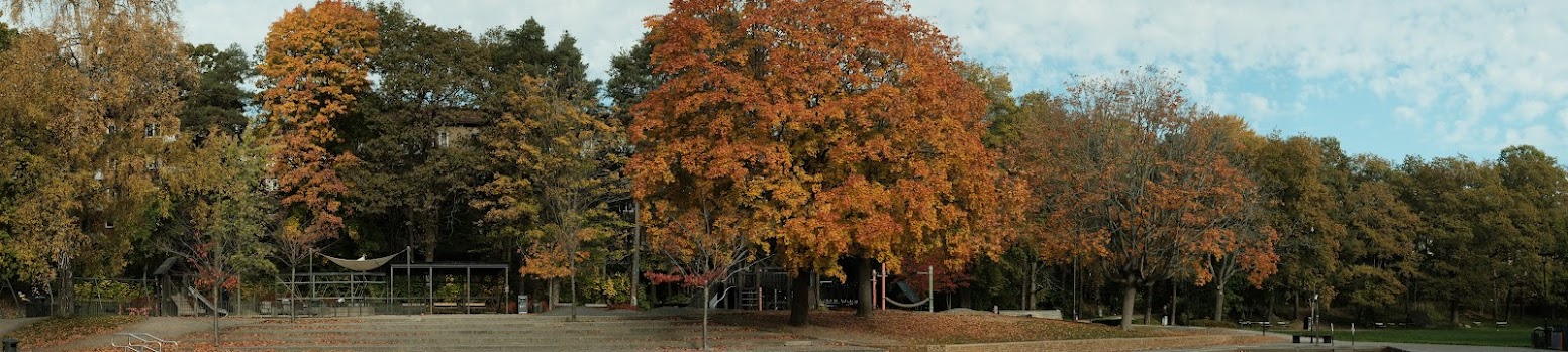 Panoramabild över Aspuddsparken med lekplats, pergolor och höstfärgade lönnar