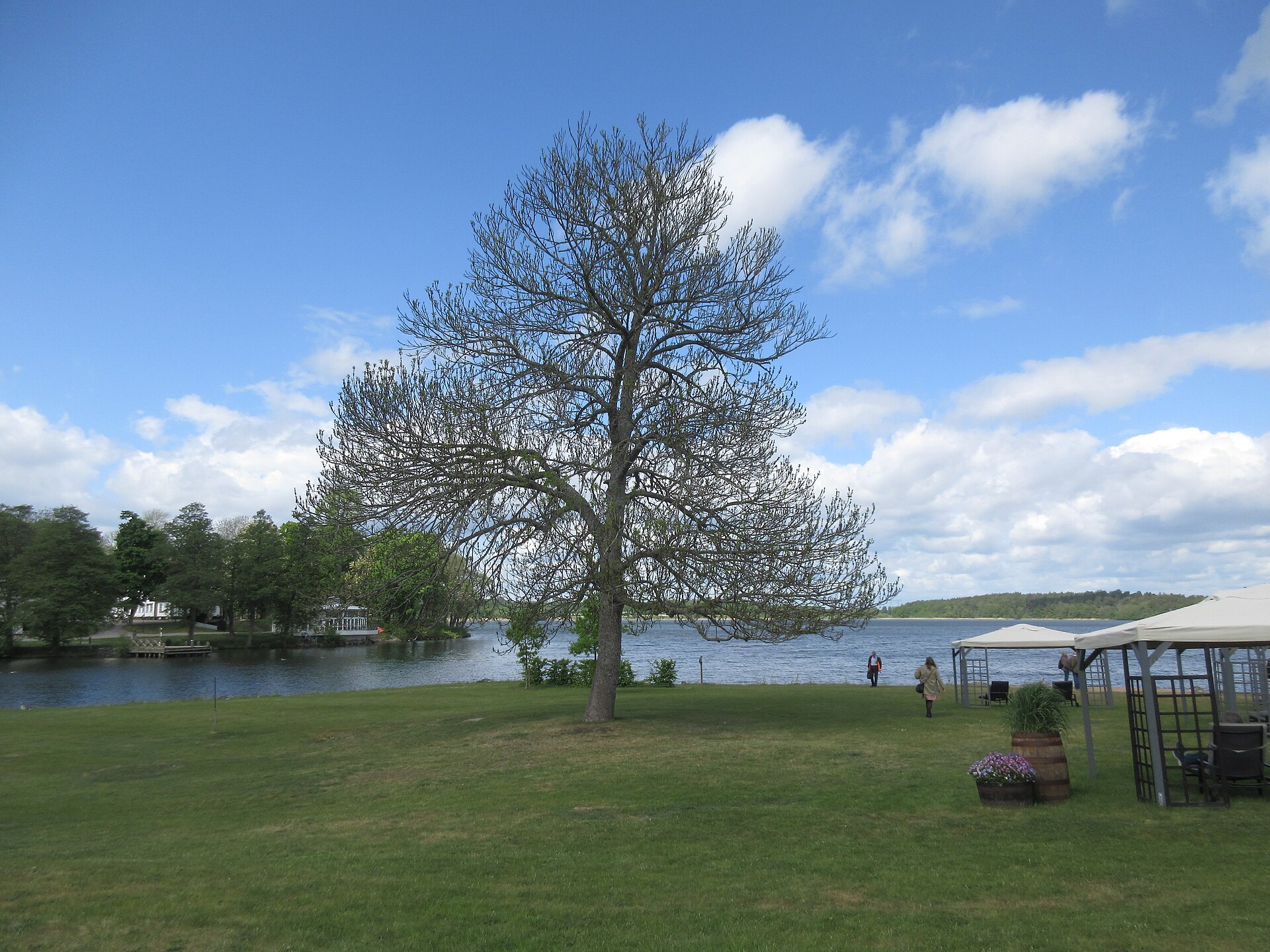 Utsikt över Långtarmens fjärd i Mälaren från Ekerö