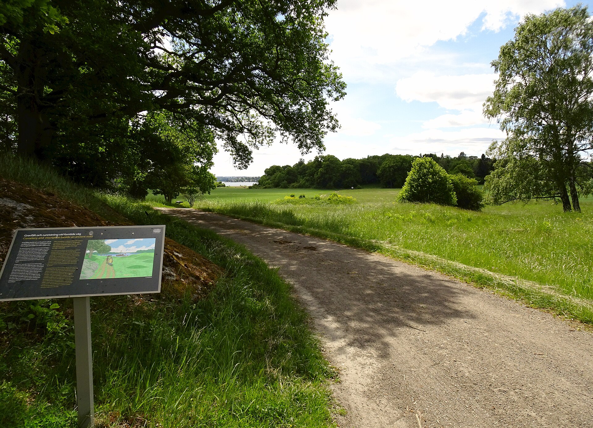 Grusväg genom betesmarken vid Edeby på Lovön med ekar och en informationsskylt