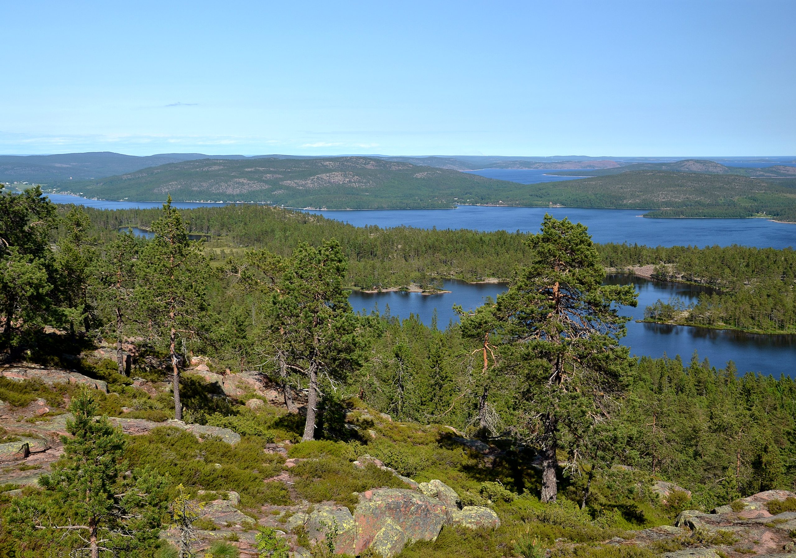 Utsikt över Höga kustens fjärdar, skog och öar från en höjd