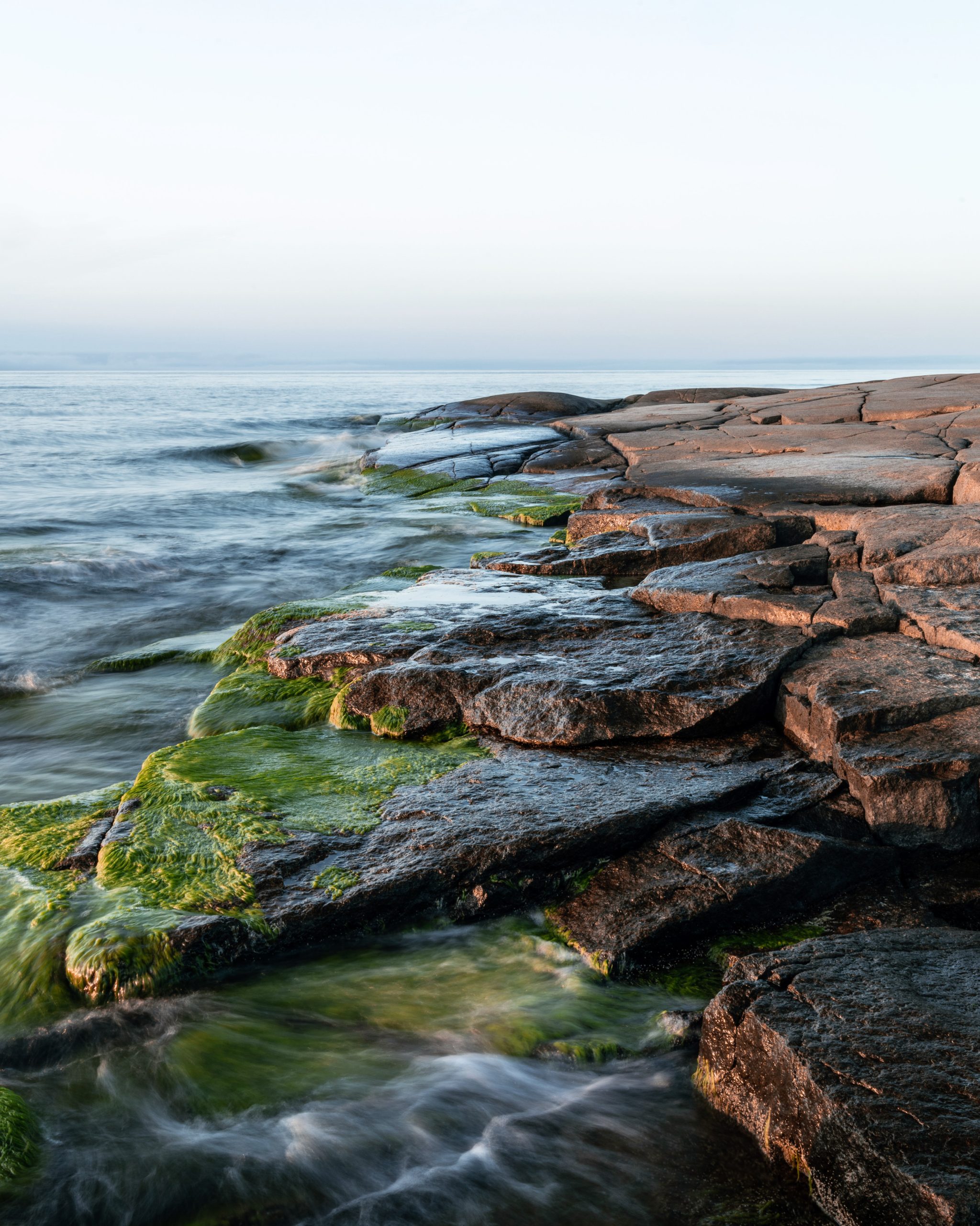 De flata klipphällarna vid Rotsidan med havet i gryningen