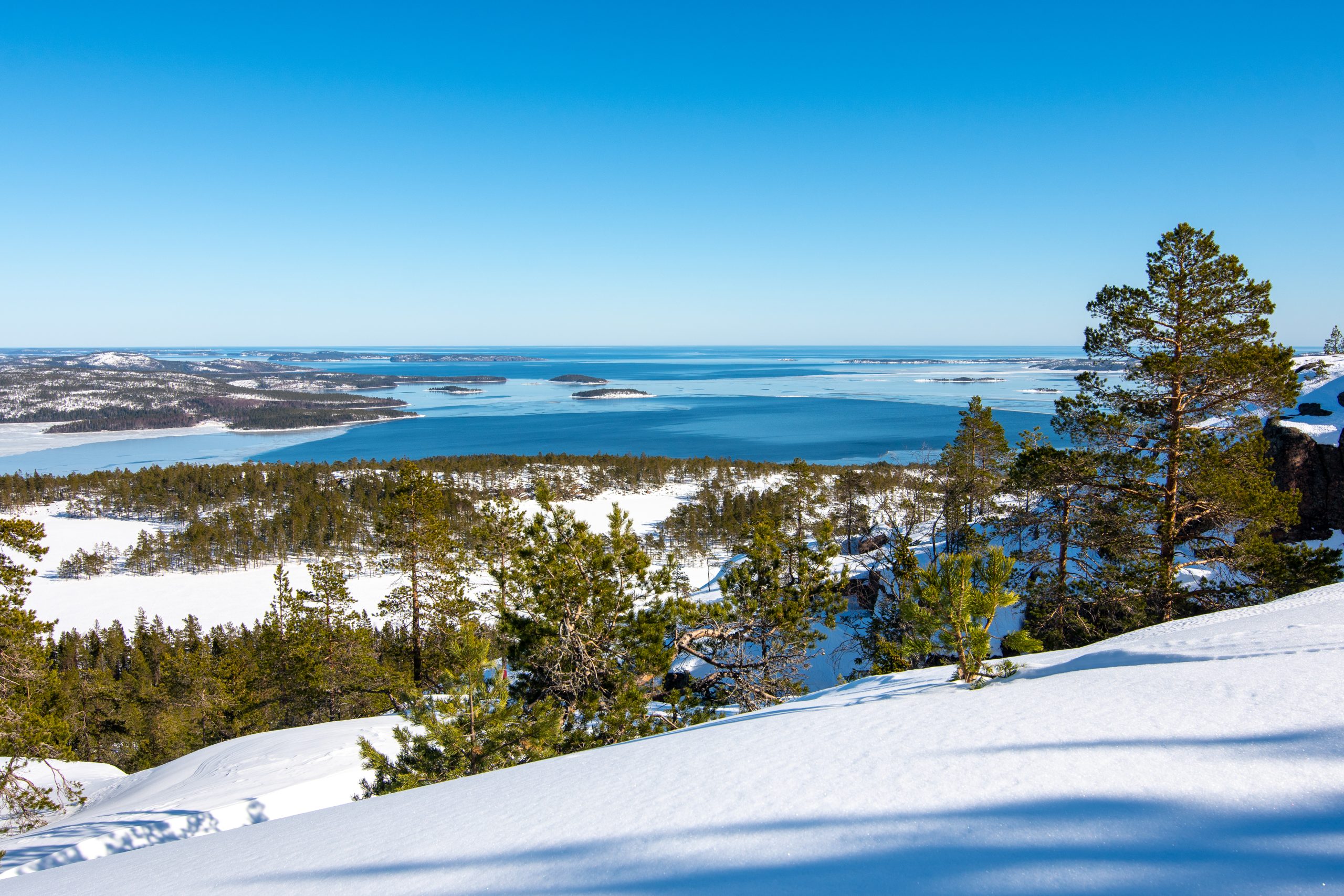 Snötäckt landskap i Skuleskogens nationalpark med utsikt över isbelagda fjärdar i Höga kusten