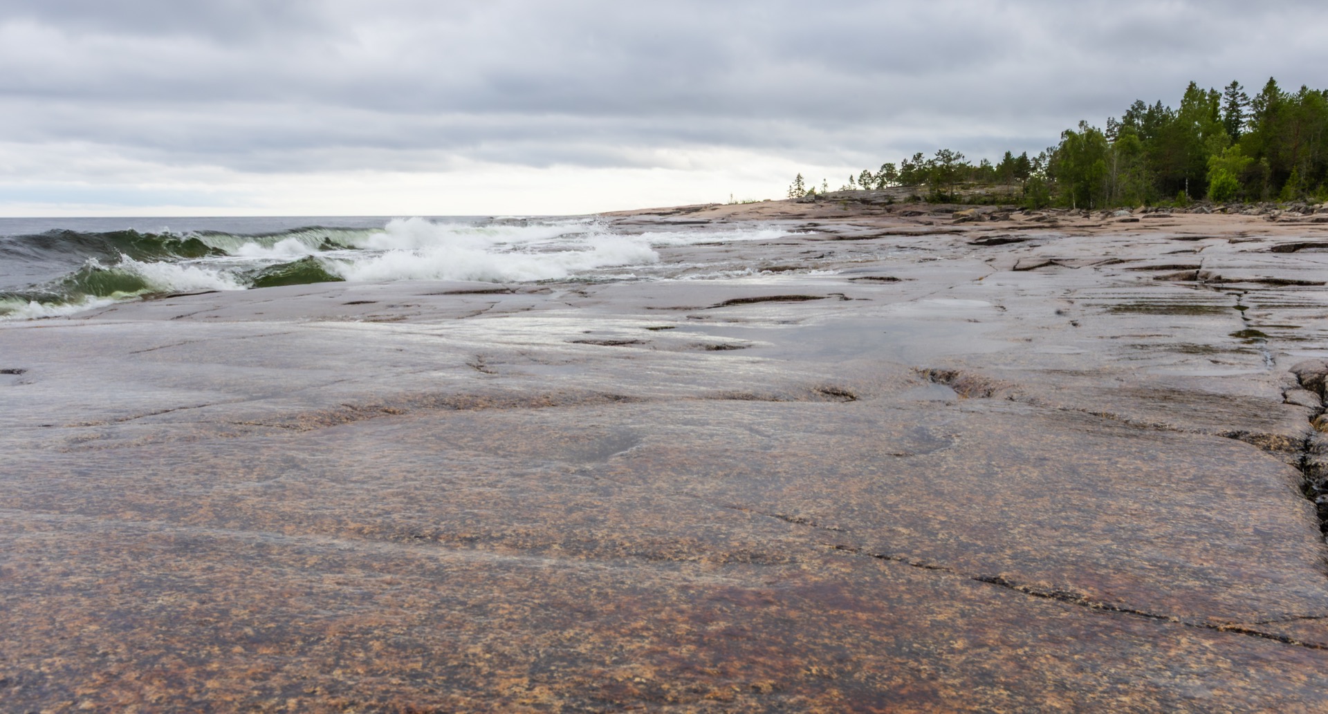 Vågor som slår in över de flacka diabashällarna vid Rotsidan, med tallskog längs stranden