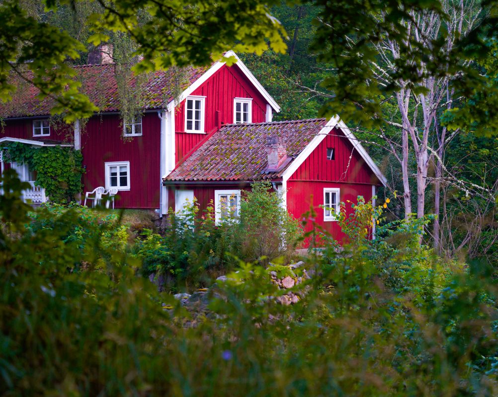 Rött trähus omgivet av grönskande träd