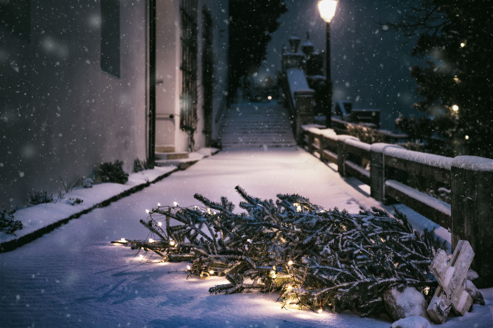 En julgran ligger i snön vid en gata efter julhelgen