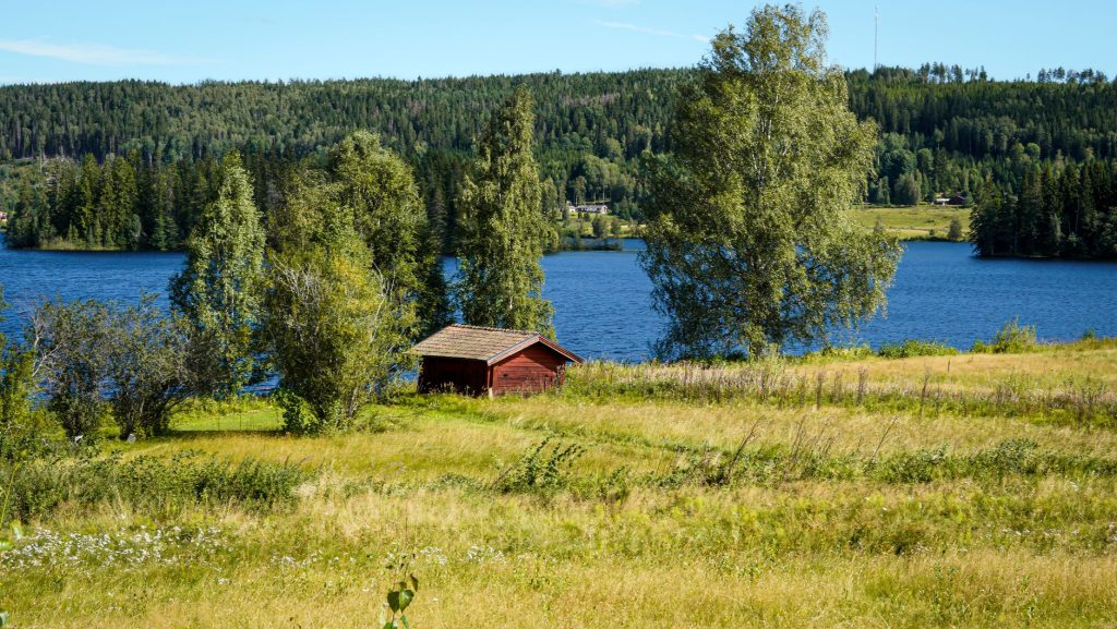 Röd stuga i en äng vid en skogssjö.