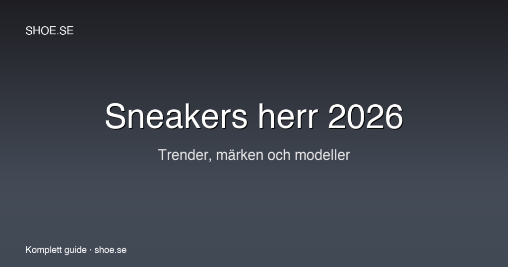 Sneakers herr