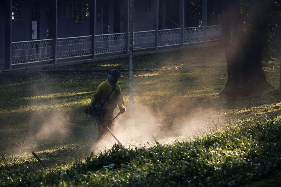 Fastighetsskötare röjer gräskanter vid en fastighet en solig sommardag