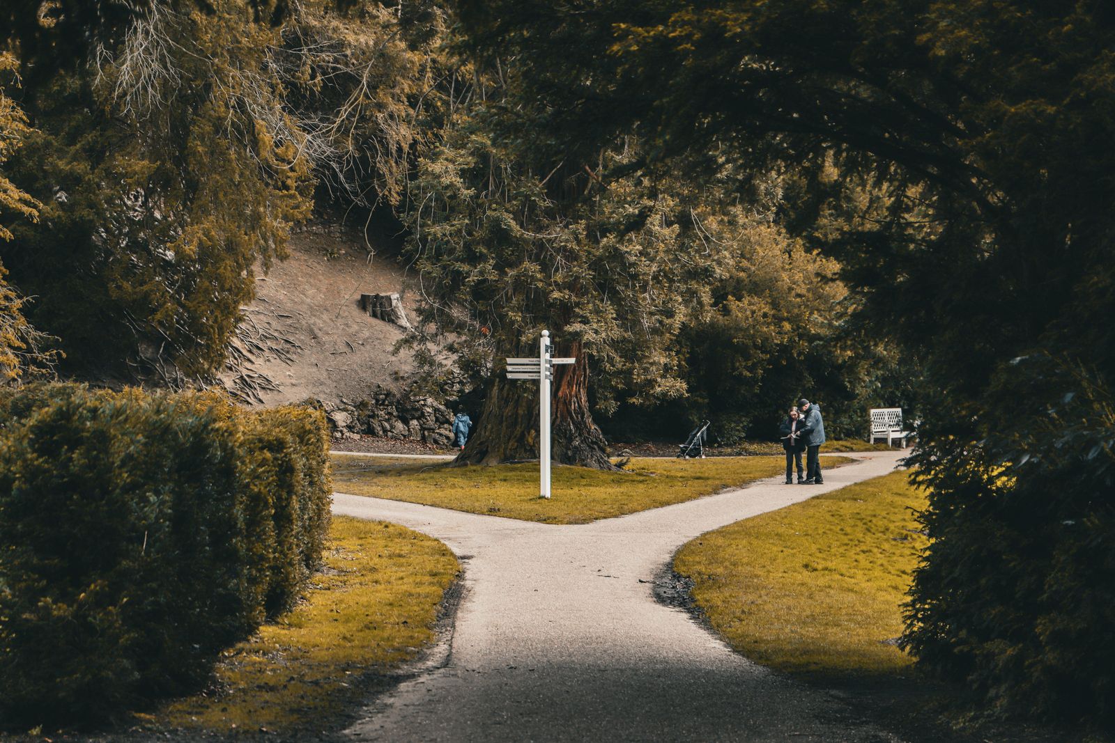 Stig som delar sig i två vägar i skogen