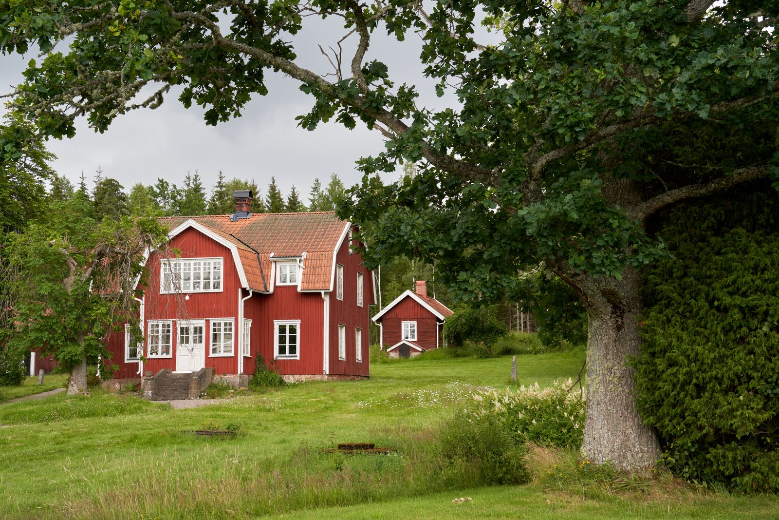 Rött hus i svensk landsbygdsmiljö, sommar
