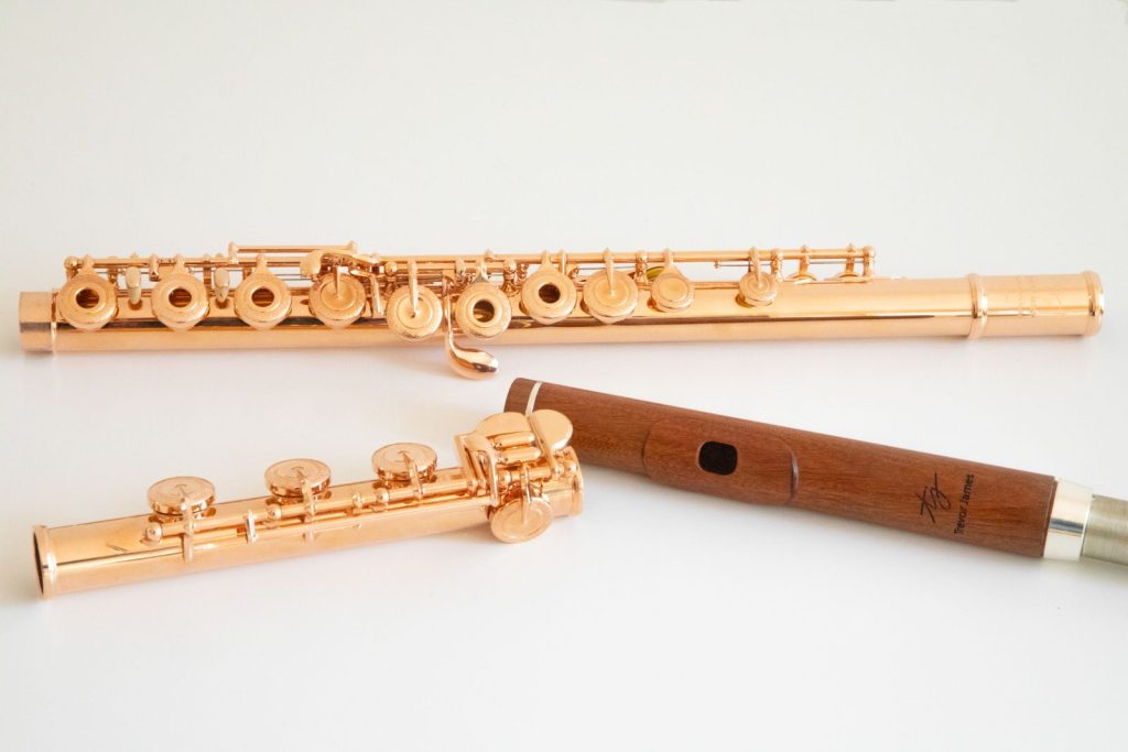 Tvärflöjt, ett träblåsinstrument