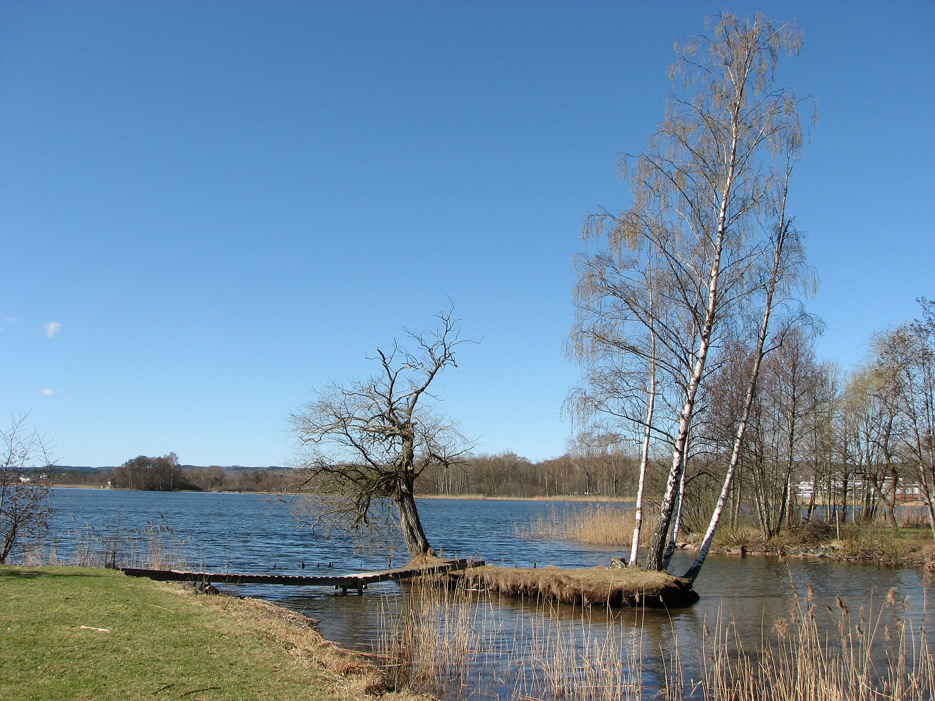 Rocksjön med björkar och vatten i naturreservatet mitt i Jönköping