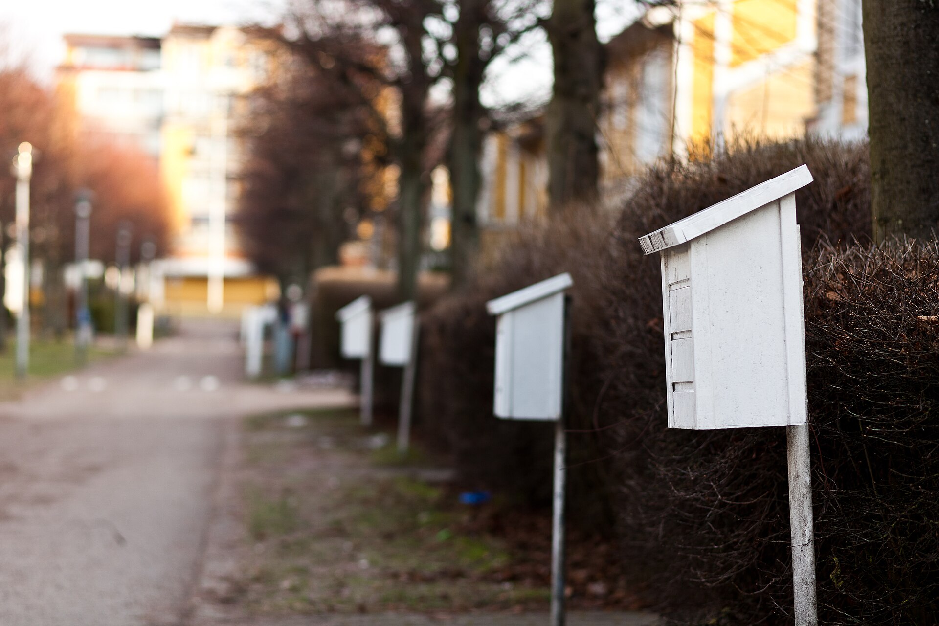 Vita brevlådor på stolpar i rad längs en gångväg i ett bostadsområde