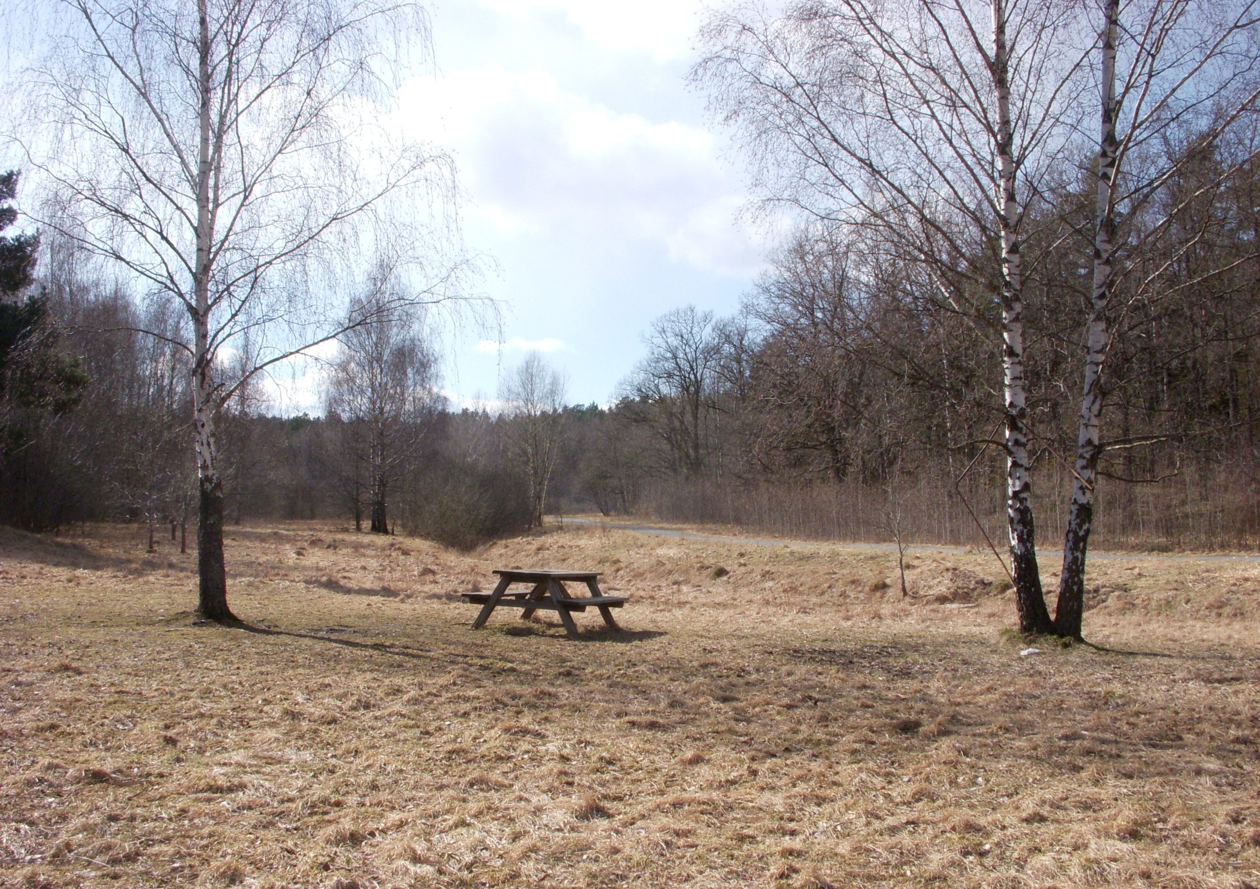Älvsjöskogen: naturreservatet och friluftslivet i Älvsjö