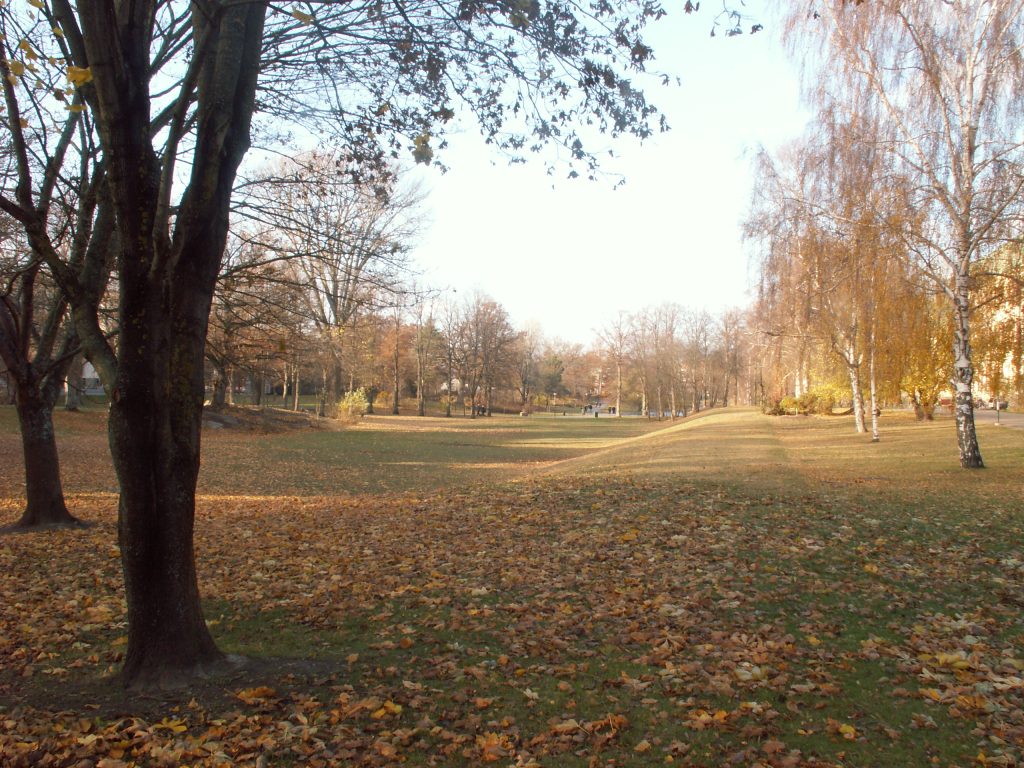 Öppna gräsytor och lövfällande träd i Långbroparken en höstdag.
