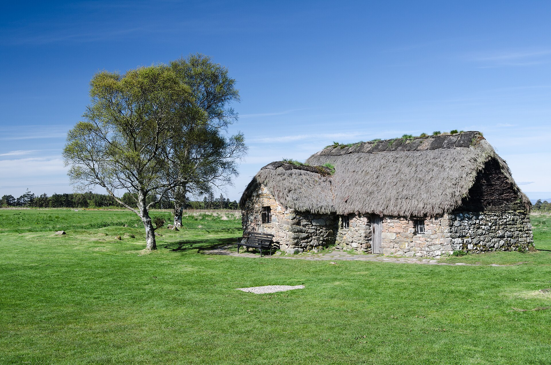 Leanach Cottage, en låg stenstuga med halmtak, på det gröna slagfältet vid Culloden med björkar och skog i bakgrunden
