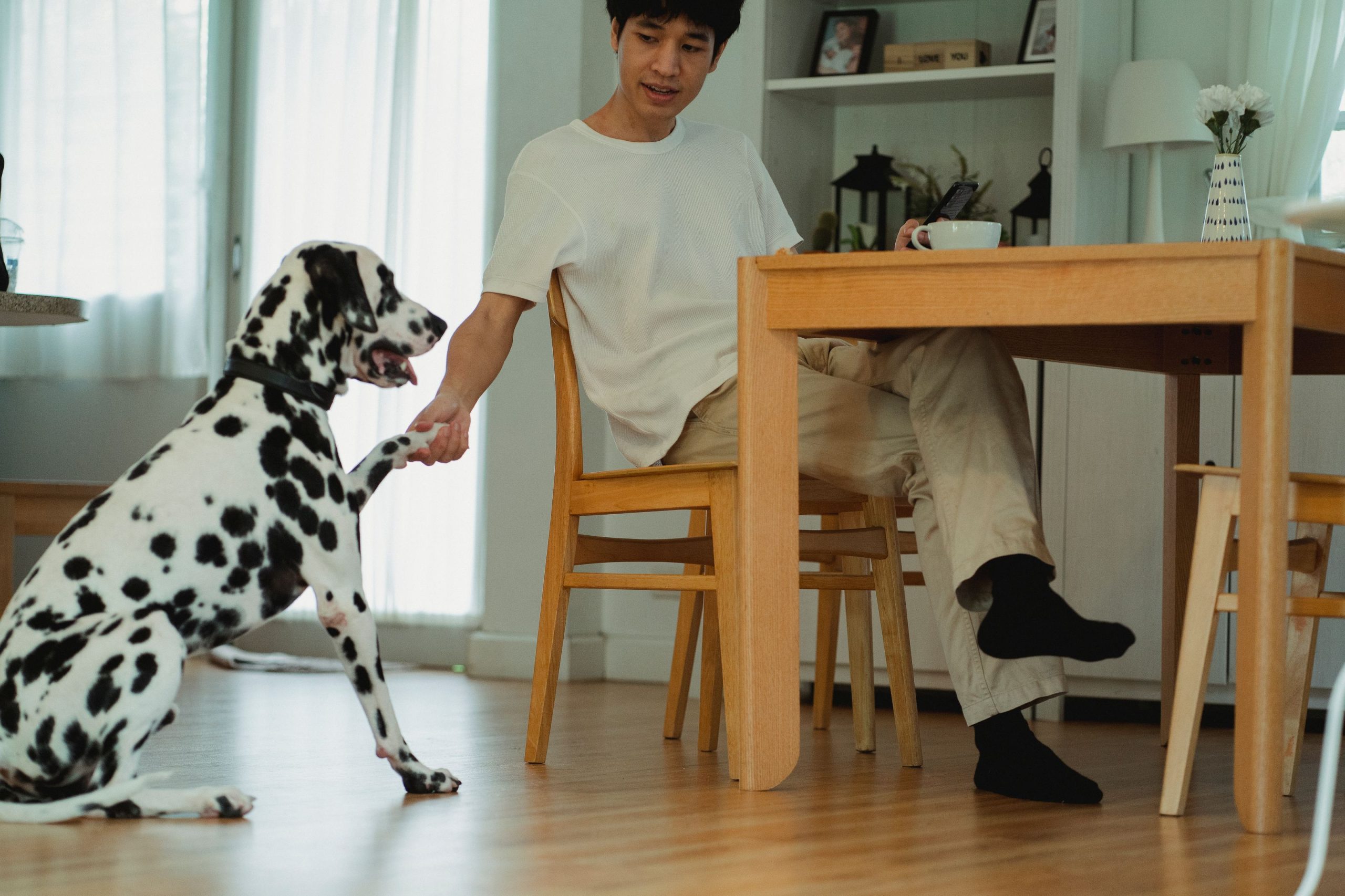 Hund ger tass till sin ägare