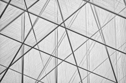 Intersecting structural grid representing site architecture