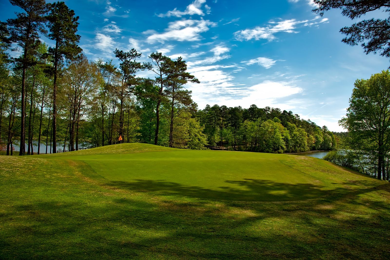Skogsomgärdad golfgreen med flagga och sjö under blå sommarhimmel