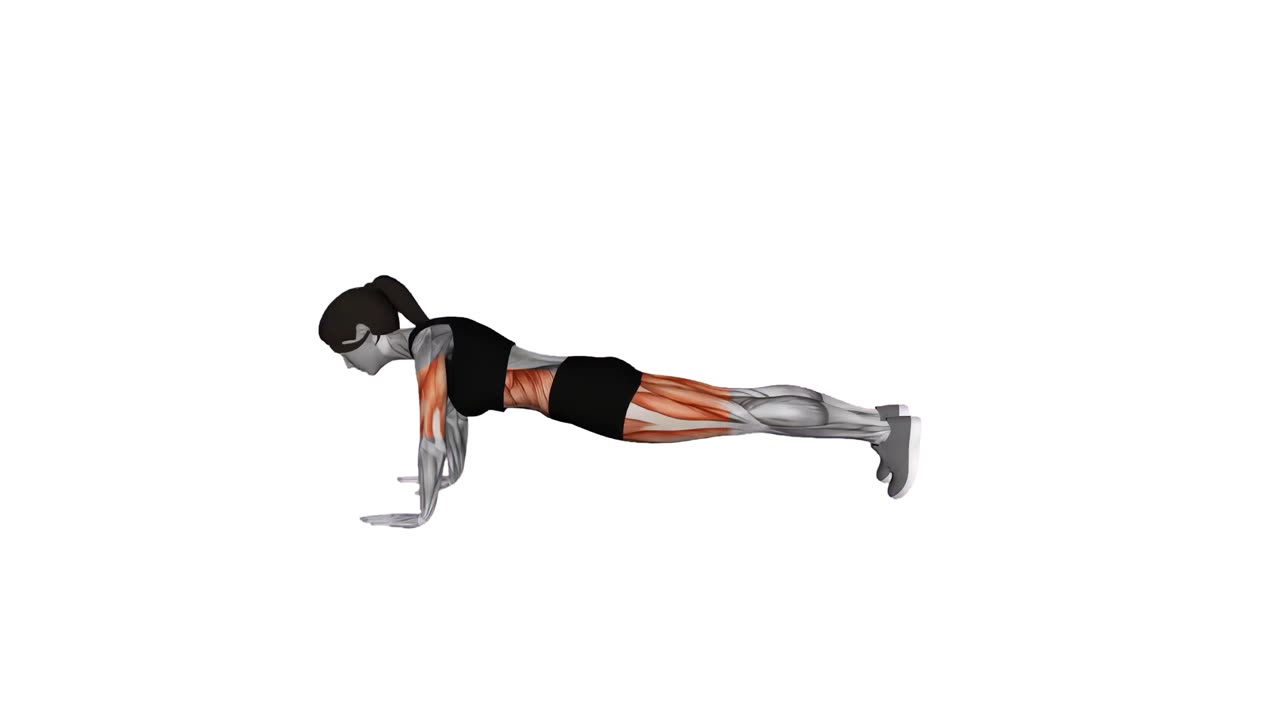 Trebent chaturanga - startposition