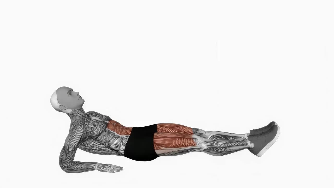 Alternerande benlyft i omvänd plankaposition - startposition