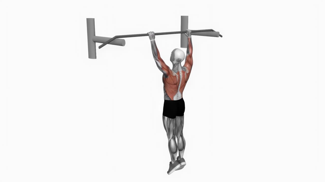 Archer chins - startposition