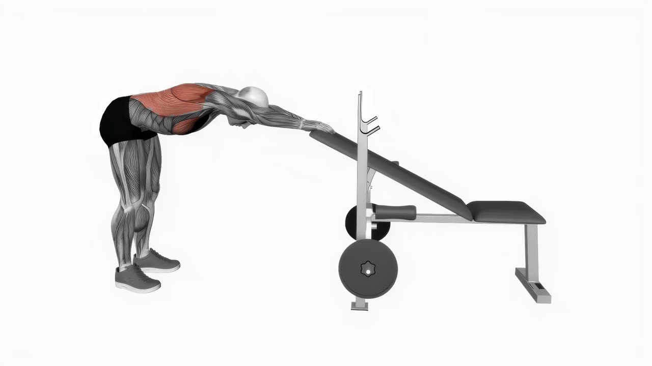Bröst- och ryggstretch mot bänk - startposition