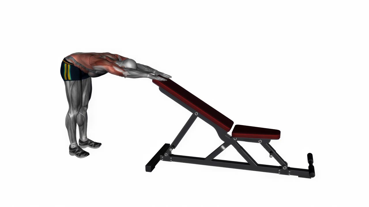 Dynamisk ryggstretch - slutposition