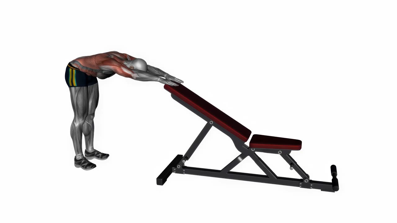 Dynamisk ryggstretch - startposition